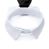 Cute Pawtner Necktie