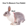 Rabbit Clothes