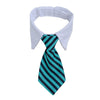 Cute Pawtner Necktie