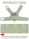 Set Rabbit Harness With Leash