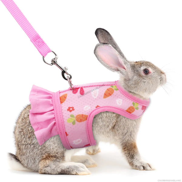 Rabbit Harness