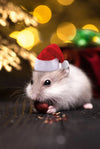 Christmas Cap