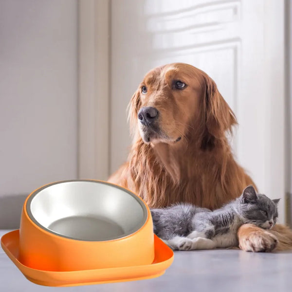 Food Bowl for Dogs Cats