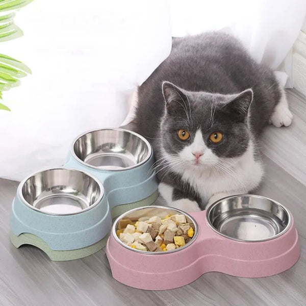 Double Bowls Cat Dog Food Water