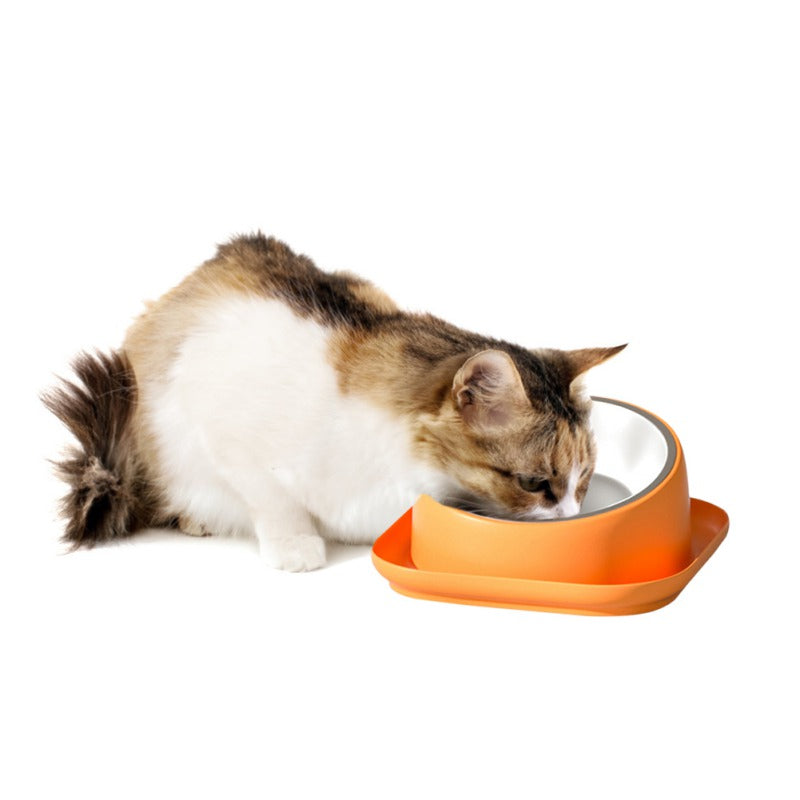 Food Bowl for Dogs Cats