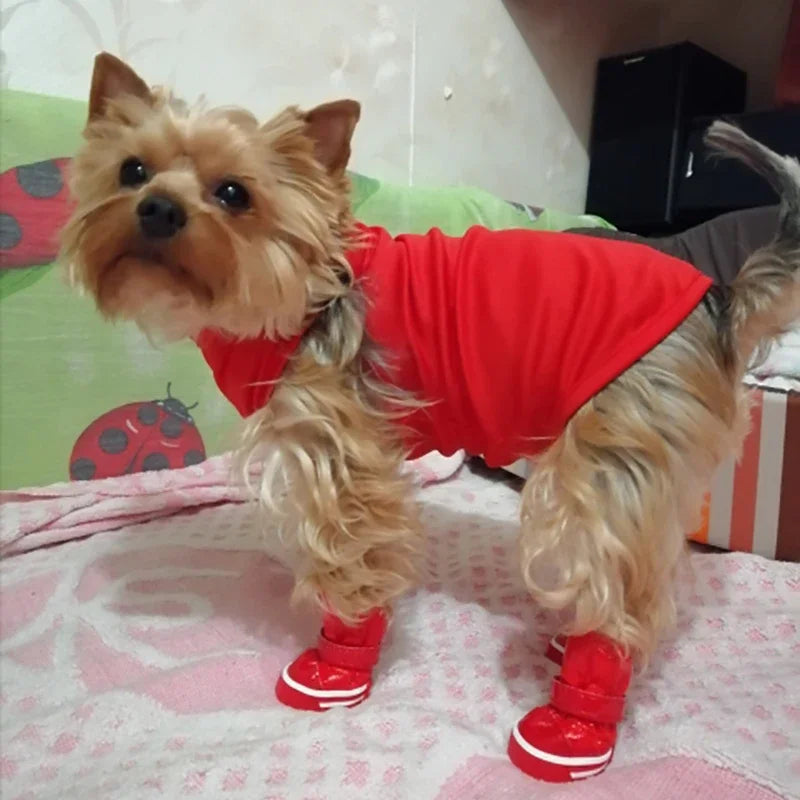 Dog Winter Boots 4pcs/set