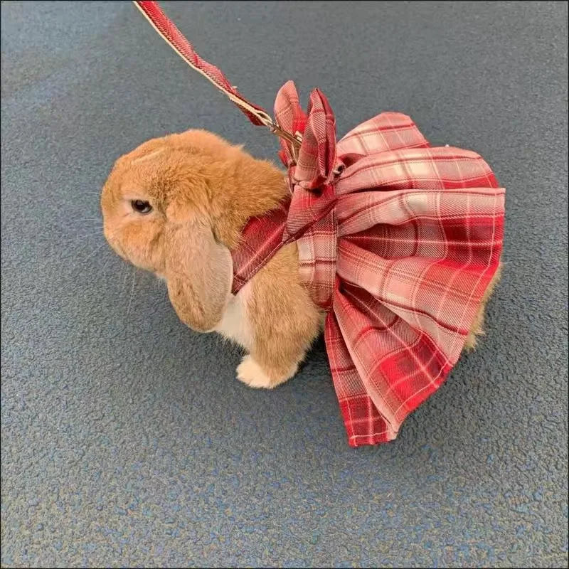 Rabbit Dresses and Leash Set