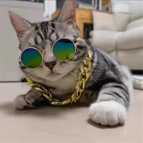 Fashion Dog Cat Pet Glasses