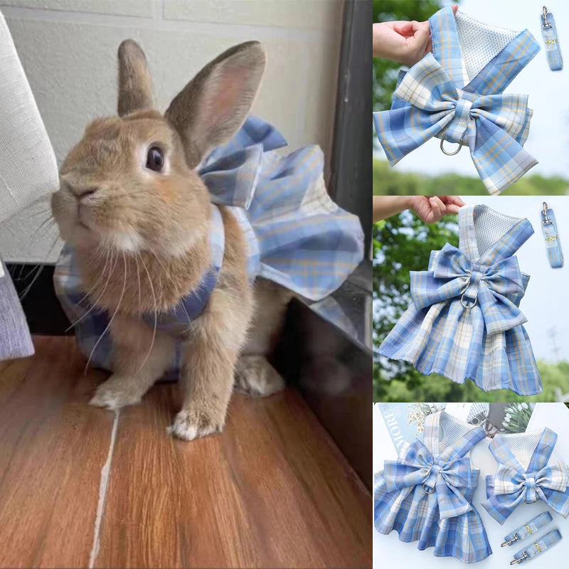 Rabbit Dresses and Leash Set