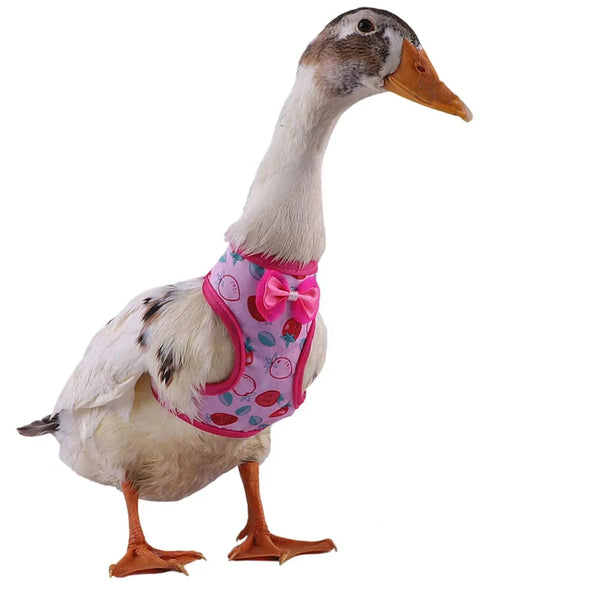 Duck Vest Leash