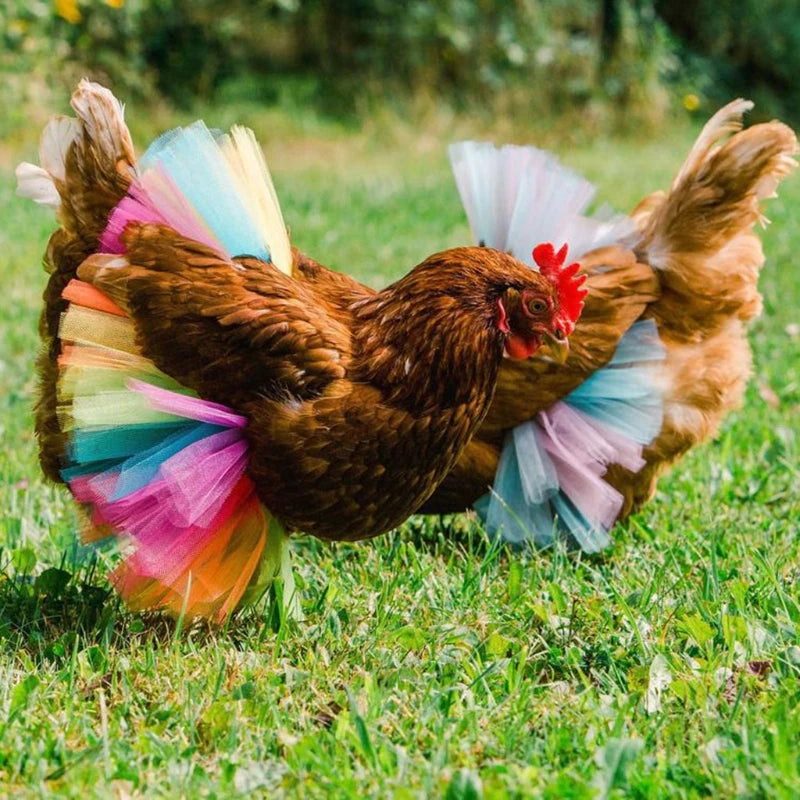 Skirt Hen