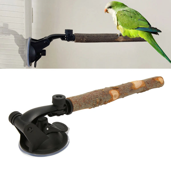 Bird Standing Stick Wood