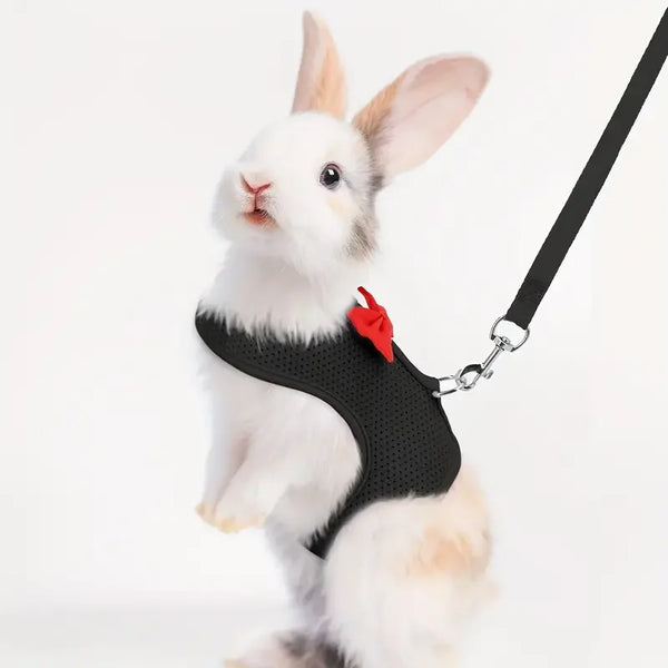 Rabbit Set with Harness