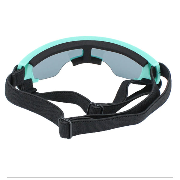 Dog Glasses