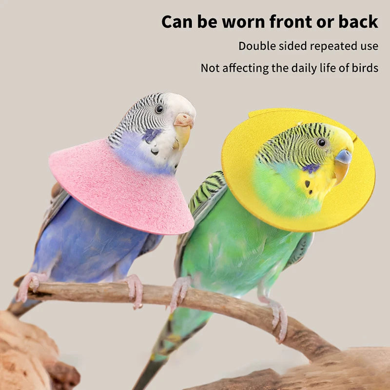 Dowara