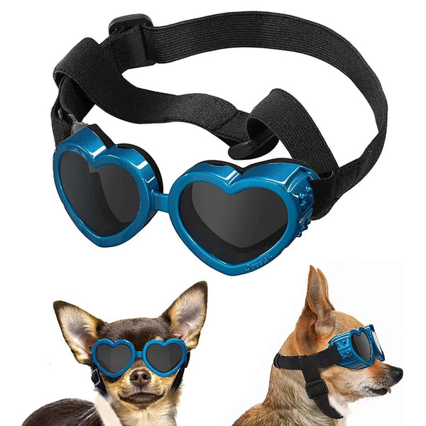 Dog Cat Glasses