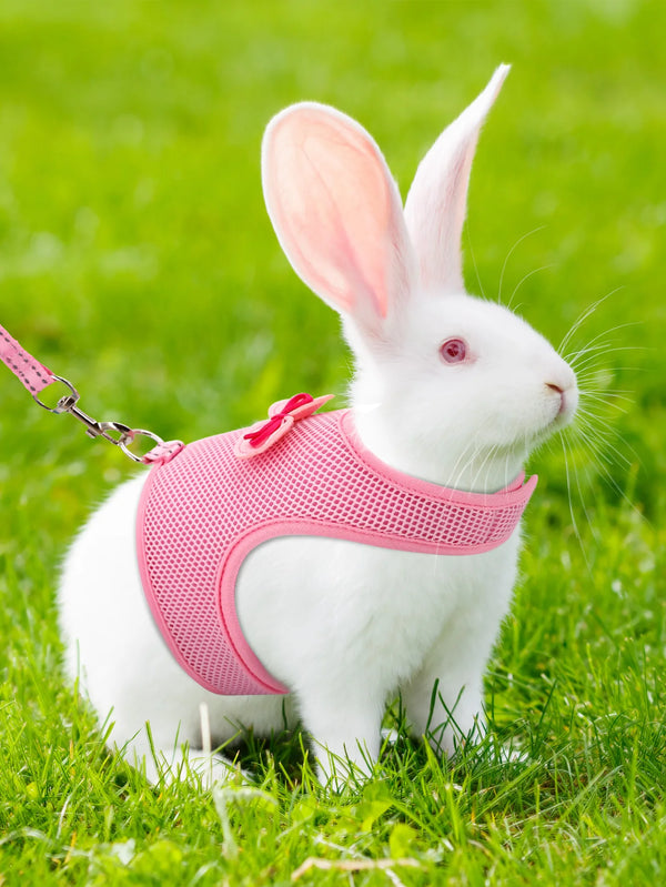 Set Rabbit Harness With Leash