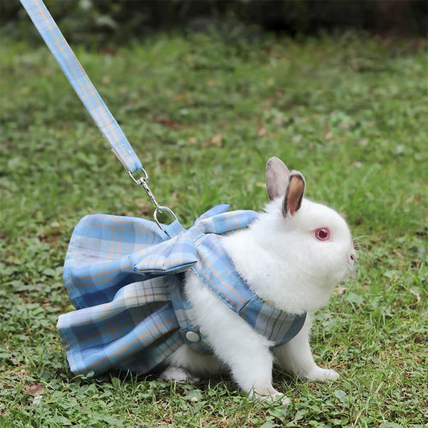 Rabbit Dresses and Leash Set