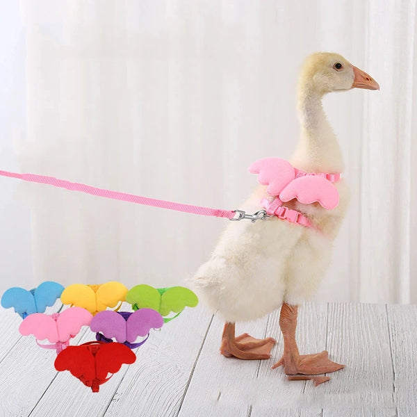 Leash For Duck Small