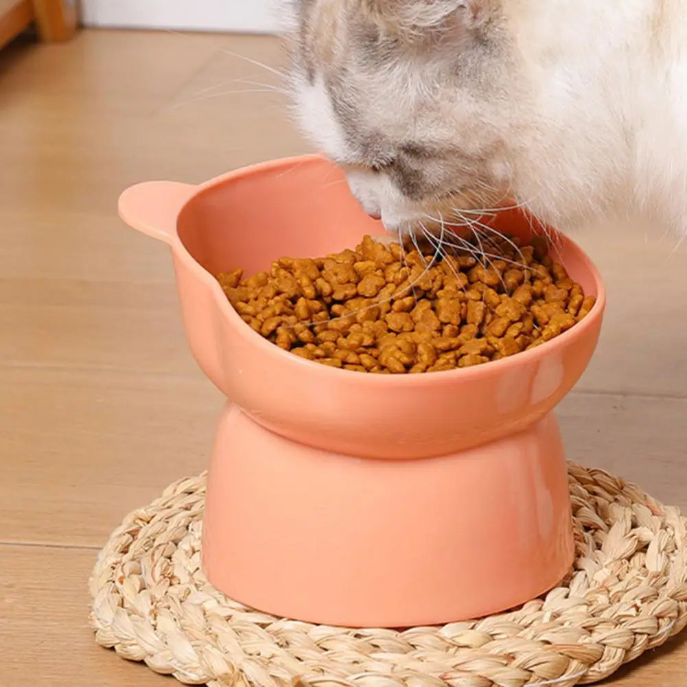 cat elecated feeding bowl