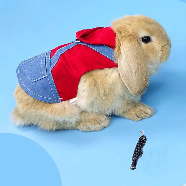 Clothes And Leashs Bunny