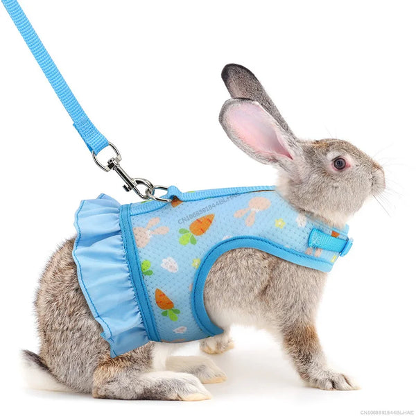 Rabbit Harness