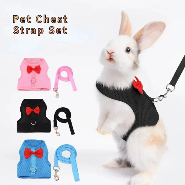 Rabbit Set with Harness