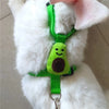 Hamster Rabbit Strap Traction