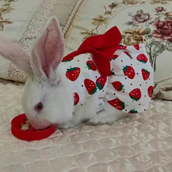 Rabbit Dress