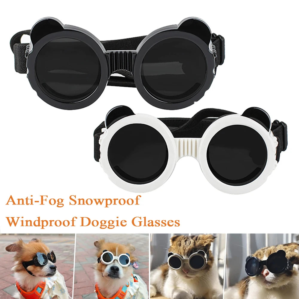 Dog Small Breed Sunglasses