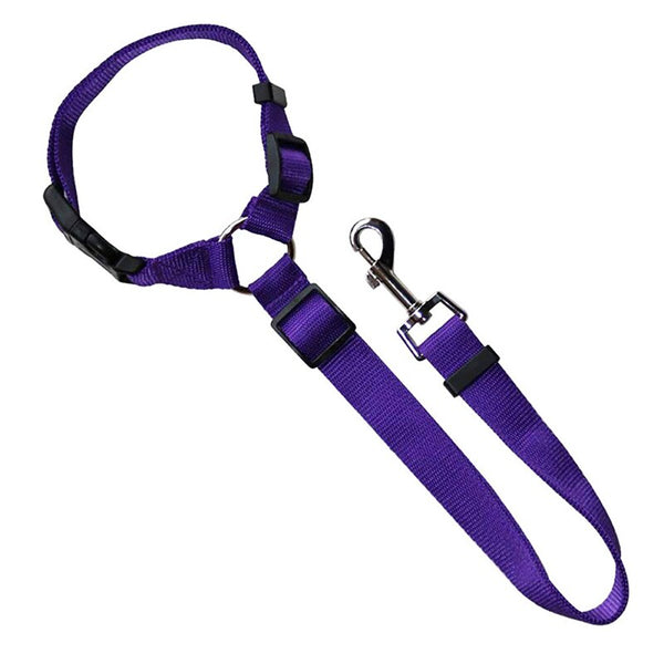 Purpel Seat Belt & Leash