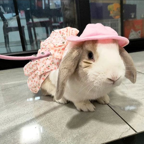 Rabbit Dress