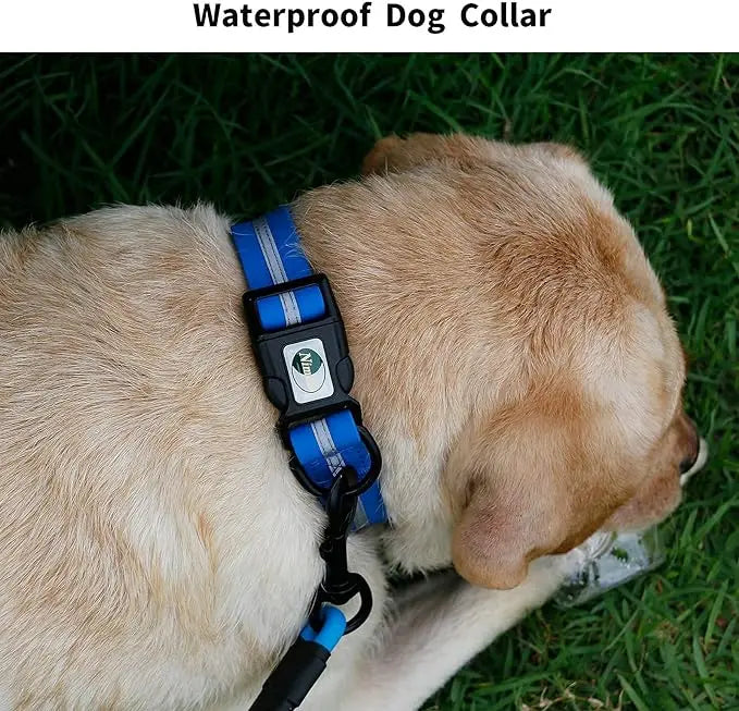 dog collar waterproof