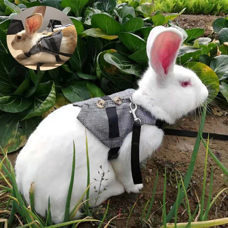 Rabbit Harness and Leash Clothes