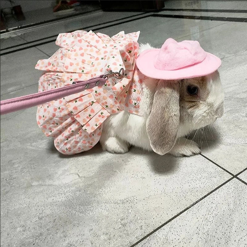 Rabbit Dress