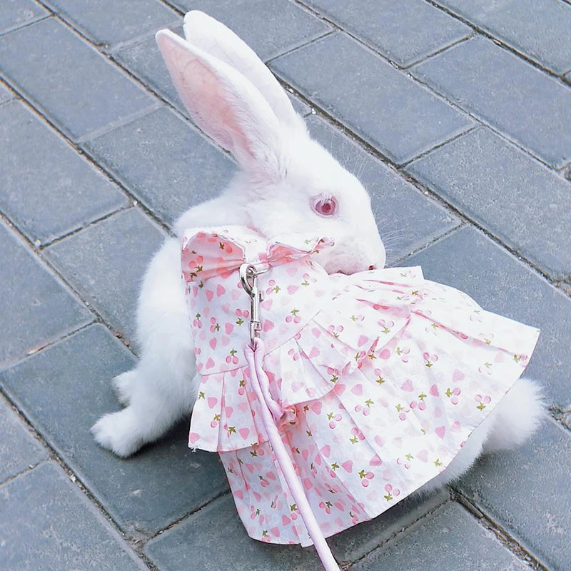 Rabbit Dress