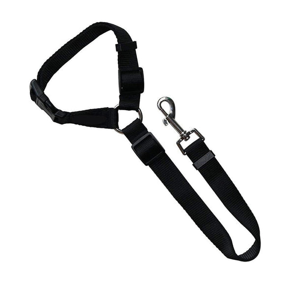 Black Seat Belt & Leash