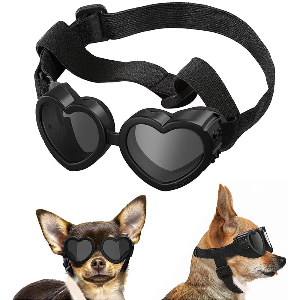 Dog Cat Glasses
