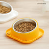 Food Bowl for Dogs Cats