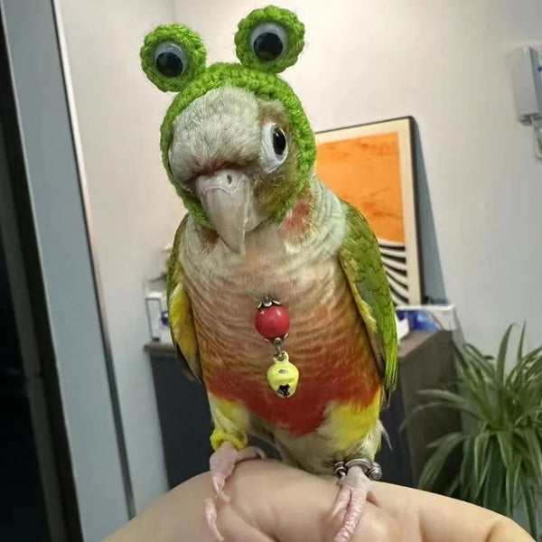 Parrot Hat