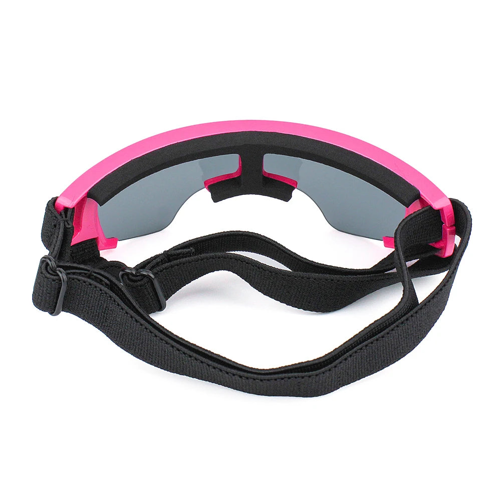 Dog Glasses