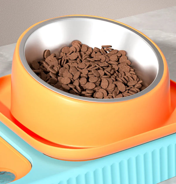 Food Bowl for Dogs Cats