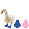 Duck Shoes Anti-slip