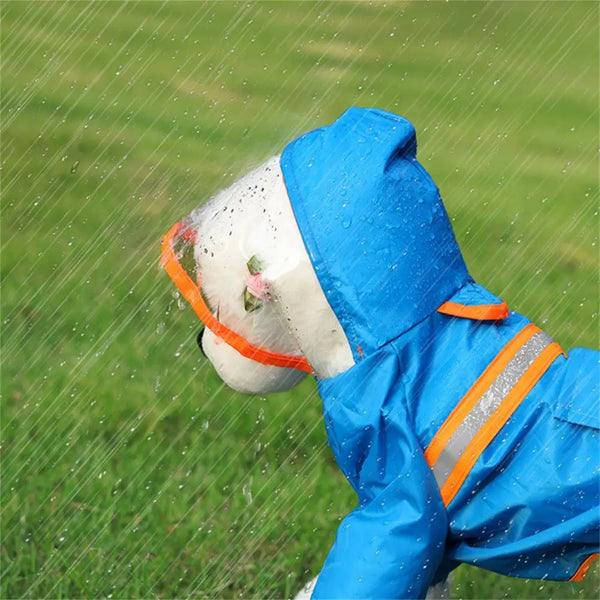 Dog Raincoat Transparent