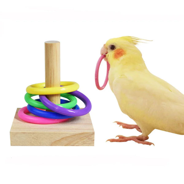 Toys For Parrots