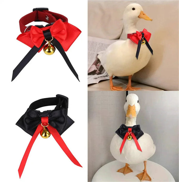 Necktie Chicken Goose