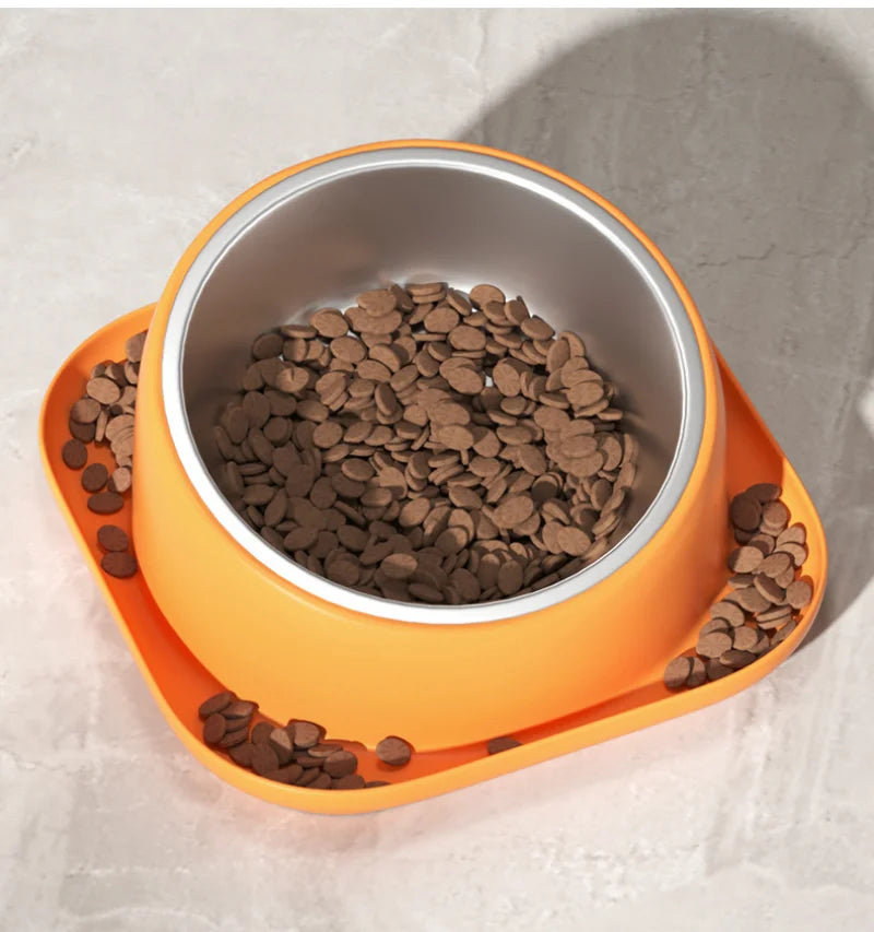 Food Bowl for Dogs Cats