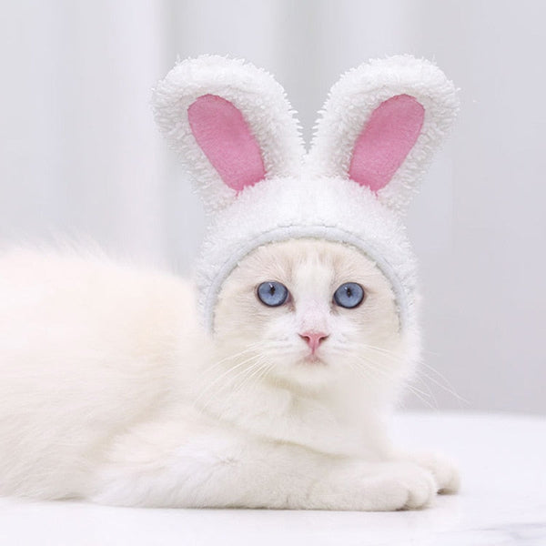 Bunny Pet Caps